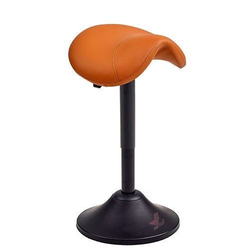 AL-B0024-1 Saddle Seat Wobble Stool  